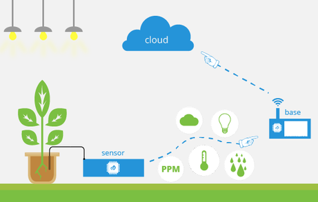 Pulseye's system overview